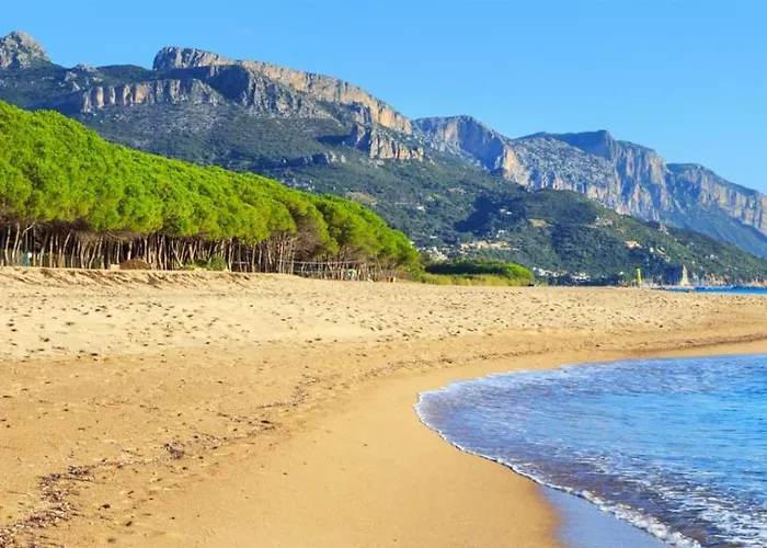 Mavi * باري ساردو