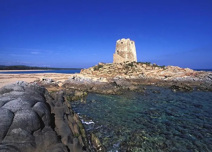 Mavi * باري ساردو