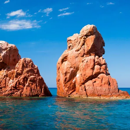 Mavi * バリ・サルド