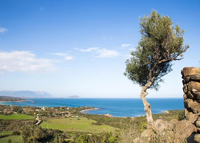 Appartement Mavi Bari Sardo