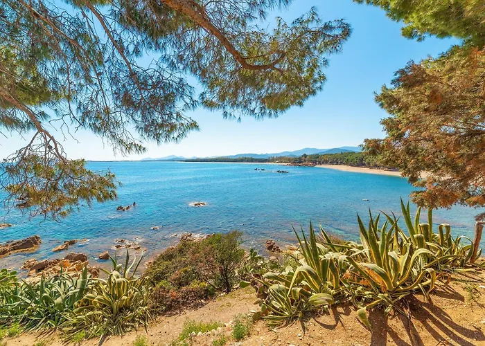 Mavi Бари-Сардо